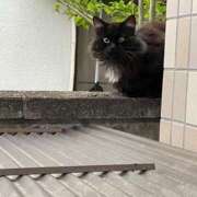 ヒメ日記 2025/08/08 12:52 投稿 いちか 所沢東村山ちゃんこ