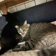 ヒメ日記 2025/09/11 11:38 投稿 いちか 所沢東村山ちゃんこ