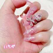 ヒメ日記 2025/09/12 11:57 投稿 いちか 所沢東村山ちゃんこ