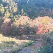 ヒメ日記 2025/11/23 23:19 投稿 いちか 所沢東村山ちゃんこ