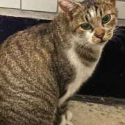 ヒメ日記 2025/11/25 09:54 投稿 いちか 所沢東村山ちゃんこ