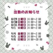 ヒメ日記 2026/08/22 14:32 投稿 いちか 所沢東村山ちゃんこ