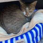 ヒメ日記 2025/08/07 19:25 投稿 いちか 西東京市小平ちゃんこ