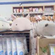 ヒメ日記 2025/08/28 09:31 投稿 いちか 西東京市小平ちゃんこ