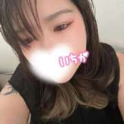 ヒメ日記 2025/09/09 08:04 投稿 いちか 西東京市小平ちゃんこ