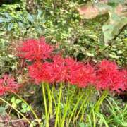 ヒメ日記 2025/09/23 19:02 投稿 いちか 西東京市小平ちゃんこ