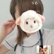 ヒメ日記 2025/07/20 16:30 投稿 らむ 熊本しこたまクリニック