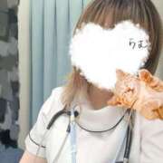 ヒメ日記 2025/08/09 13:40 投稿 らむ 熊本しこたまクリニック