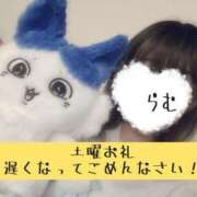 ヒメ日記 2025/08/12 16:55 投稿 らむ 熊本しこたまクリニック