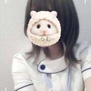 ヒメ日記 2025/08/26 18:50 投稿 らむ 熊本しこたまクリニック