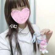 ヒメ日記 2025/12/20 12:31 投稿 らむ 熊本しこたまクリニック