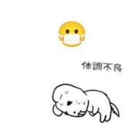 ヒメ日記 2026/08/20 09:44 投稿 らむ 熊本しこたまクリニック（アクセスグループ）