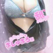 ヒメ日記 2025/07/13 14:19 投稿 らん 山梨甲府甲斐ちゃんこ