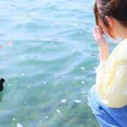 ヒメ日記 2025/09/28 10:54 投稿 ひかる Oasis(薬研堀)