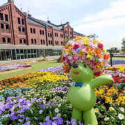 ヒメ日記 2025/07/17 19:03 投稿 ぼたん モアグループ 土浦人妻花壇