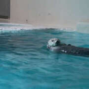 ヒメ日記 2025/07/24 19:18 投稿 ぼたん モアグループ 土浦人妻花壇