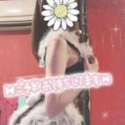 ぼたん 本日まで モアグループ 土浦人妻花壇