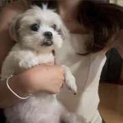 ヒメ日記 2025/08/23 16:12 投稿 あい an_an（アンアン）