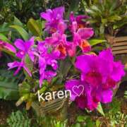 ヒメ日記 2025/07/30 18:11 投稿 柴咲 かれん ミセス・レヴォアール～再会～