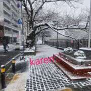 柴咲 かれん 久々の雪。 ミセス・レヴォアール～再会～