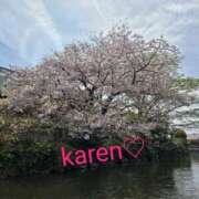 ヒメ日記 2026/04/04 18:43 投稿 柴咲 かれん ミセス・レヴォアール～再会～