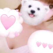 ヒメ日記 2025/08/30 21:43 投稿 水城　さあや ベルサイユの薔薇