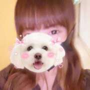 ヒメ日記 2025/09/01 22:42 投稿 水城　さあや ベルサイユの薔薇