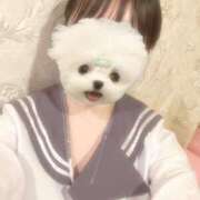 ヒメ日記 2025/07/29 06:45 投稿 さら 新宿プチドール