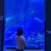 ヒメ日記 2025/08/30 06:19 投稿 さら 新宿プチドール