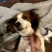 ヒメ日記 2025/08/12 20:07 投稿 きほ an_an（アンアン）