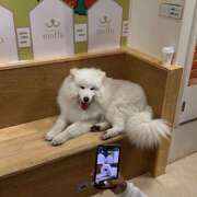 ヒメ日記 2025/11/17 19:12 投稿 きほ an_an（アンアン）