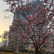 ヒメ日記 2026/02/27 17:36 投稿 きほ an_an（アンアン）