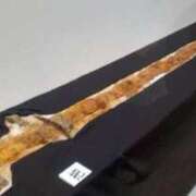 ヒメ日記 2025/08/29 13:33 投稿 すい モアグループ 土浦人妻花壇