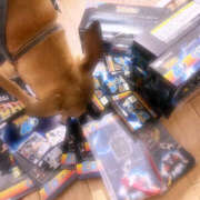 ヒメ日記 2025/10/31 14:12 投稿 すい モアグループ 土浦人妻花壇