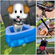 ヒメ日記 2025/08/17 20:10 投稿 りの 奥鉄オクテツ神奈川店（デリヘル市場グループ）