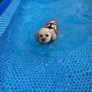 イト お久しぶりです☺️ OLの品格 クラブアッシュ
