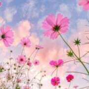 ヒメ日記 2025/12/21 10:38 投稿 あみ 熟女総本店