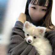 ねね わんちゃんと一緒🐶 Gossip girl成田店