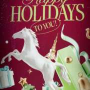 ヒメ日記 2025/12/24 17:18 投稿 あん 熟女の風俗最終章 高崎店