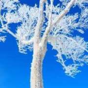 ヒメ日記 2026/01/23 17:46 投稿 あん 熟女の風俗最終章 高崎店