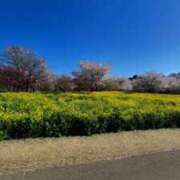 ヒメ日記 2026/03/30 18:18 投稿 あん 熟女の風俗最終章 高崎店