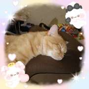 ヒメ日記 2025/10/27 11:00 投稿 黄ピクミン しゅうかつ倶楽部