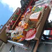 ヒメ日記 2025/11/13 04:16 投稿 黄ピクミン しゅうかつ倶楽部