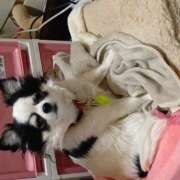 ヒメ日記 2026/03/13 07:40 投稿 黄ピクミン しゅうかつ倶楽部