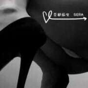 ヒメ日記 2025/11/07 20:14 投稿 セラ 京都痴女性感フェチ倶楽部