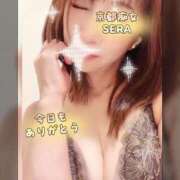 ヒメ日記 2025/11/22 01:44 投稿 セラ 京都痴女性感フェチ倶楽部