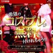 ヒメ日記 2025/11/23 18:34 投稿 セラ 京都痴女性感フェチ倶楽部