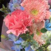 ヒメ日記 2026/02/22 13:54 投稿 セラ 京都痴女性感フェチ倶楽部