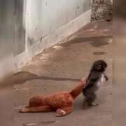 ヒメ日記 2026/02/28 16:44 投稿 セラ 京都痴女性感フェチ倶楽部