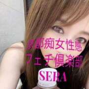 ヒメ日記 2026/10/09 13:14 投稿 セラ 京都痴女性感フェチ倶楽部